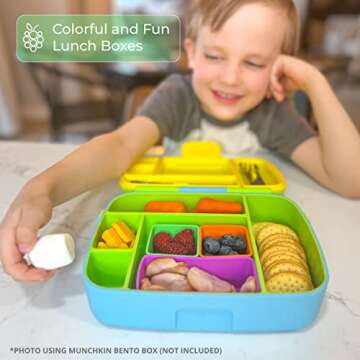 Colorful Silicone Lunch Box Dividers Set - Meal Prep Made Fun