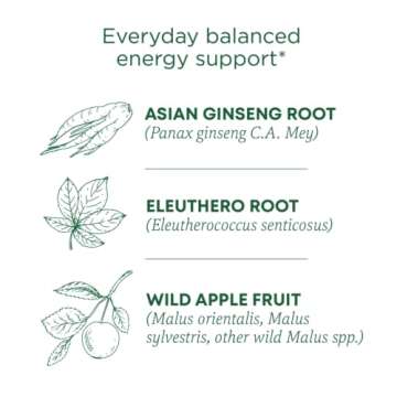 Traditional Medicinals Tea, Organic Stress Ease Focus, with Adaptogens, Everyday Balanced Energy, Gi...