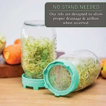 Elementi Sprouting Lids for Mason Jars - Grow Fresh Greens