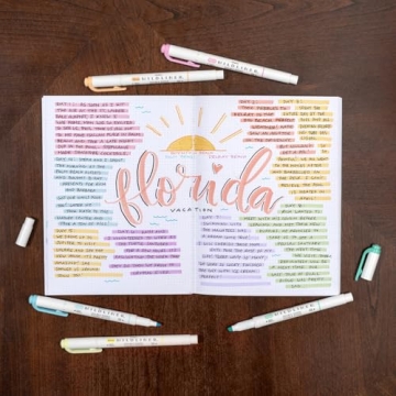 Zebra Pen Mildliner Double-Ended Highlighter Set for All