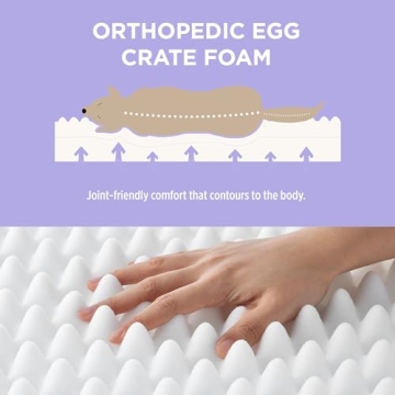 Stylish Orthopedic Dog Bed for Large Dogs, Easy Care