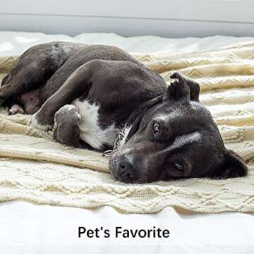 MIULEE Knitted Beige Throw Blanket Soft Sofa Knit Blanket for Couch 50 x 60 Inches, Solid Cozy Lightweight Wave Pattern Decorative Blankets with Tassels for Women, Kids and Babys