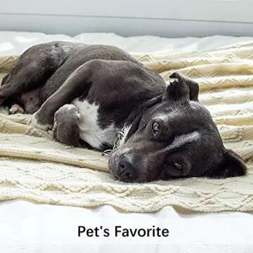 MIULEE Knitted Beige Throw Blanket Soft Sofa Knit Blanket for Couch 50 x 60 Inches, Solid Cozy Lightweight Wave Pattern Decorative Blankets with Tassels for Women, Kids and Babys