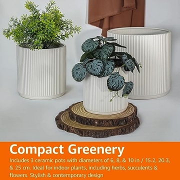 Ceramic Fluted Planters Set for Stylish Indoor Outdoor Use