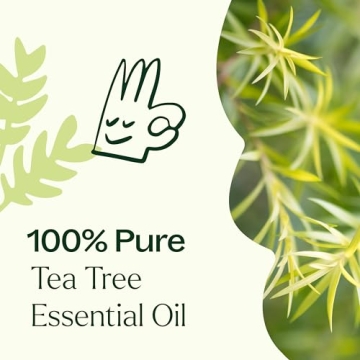 Plant Therapy Tea Tree Essential Oil 100% Pure for All