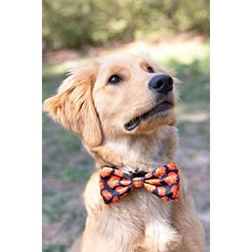 Huxley & Kent Bow Tie for Pets | Plaid-O-Lantern (Extra-Large) | Halloween Bow Tie Collar Attachment | Fun Bow Ties for Dogs & Cats | Cute, Comfortable, and Durable | H&K Bow Tie