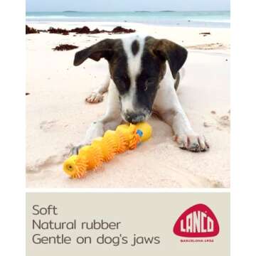 Squeaky Sensory Snake Dog Toy Small Natural Rubber (Latex) Chemical-Free Complies with Same Safetystandards as Children’s Toys Soft Unstuffed