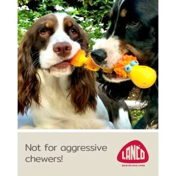 Squeaky Sensory Snake Dog Toy Small Natural Rubber (Latex) Chemical-Free Complies with Same Safetystandards as Children’s Toys Soft Unstuffed