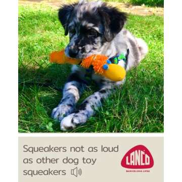 Squeaky Sensory Snake Dog Toy Small Natural Rubber (Latex) Chemical-Free Complies with Same Safetystandards as Children’s Toys Soft Unstuffed