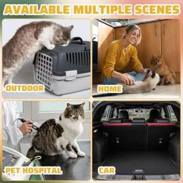 Zubebe 50 Pack Disposable Cat Litter Box for Cats, Large Disposable Kitty Litter Tray Boxes 19.69 x 15.75 x 3.94 Inches Plastic Pets Pan Standard for Indoor Home Travel Portable(Clear)