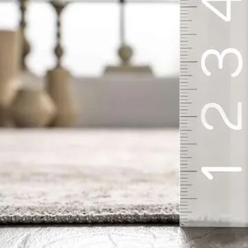 nuLOOM Brielle Machine Washable Vintage Medallion Area Rug, 4' x 6', Grey/Tan
