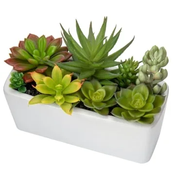 Artificial Succulents Plants in Ceramic Planter Assorted Faux Succulents in Pots Arrangement Fake Su...