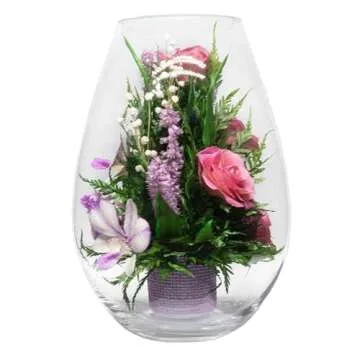 Fiora Long Lasting Orchids | Lasts 5 Years | Allergy Free