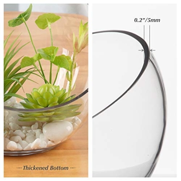 WGVI Clear Slant Cut Bowl - Durable Glass Vase for All Uses