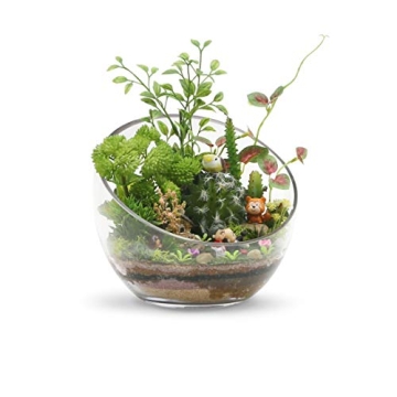 WGVI Clear Slant Cut Bowl - Durable Glass Vase for All Uses