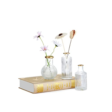 DN DECONATION Elegant Glass Bud Vases Set of 3