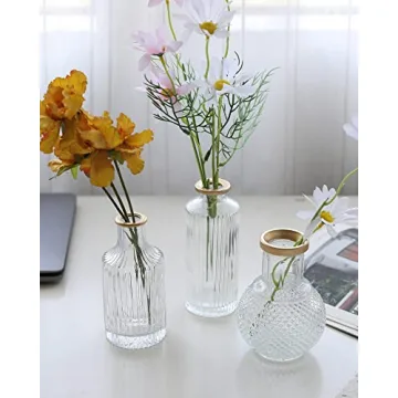 DN DECONATION Elegant Glass Bud Vases Set of 3
