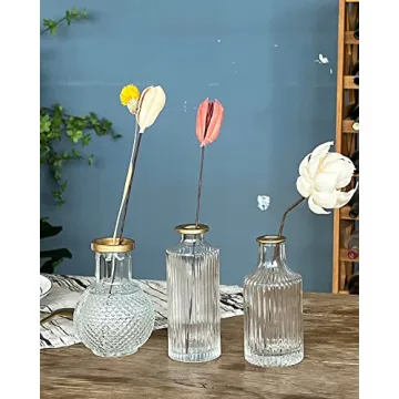 DN DECONATION Elegant Glass Bud Vases Set of 3