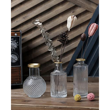 DN DECONATION Elegant Glass Bud Vases Set of 3