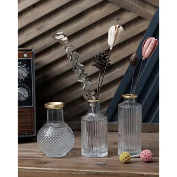 DN DECONATION Elegant Glass Bud Vases Set of 3