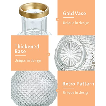 DN DECONATION Elegant Glass Bud Vases Set of 3