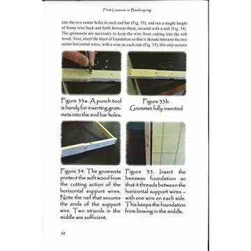 First Lessons in Beekeeping