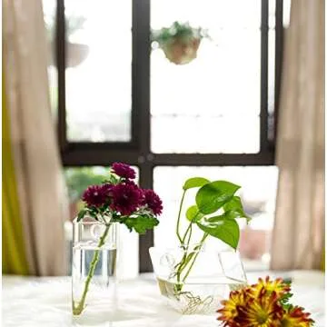 Kingbuy Plant Terrarium Container Propagation Station Square Tube Vase Wall Hanging Glass Planter Indoor Hydroponic Plants Home Office Garden Decor, 4 Pack