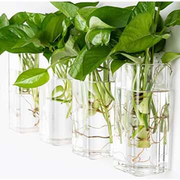 Kingbuy Plant Terrarium Container Propagation Station Square Tube Vase Wall Hanging Glass Planter Indoor Hydroponic Plants Home Office Garden Decor, 4 Pack