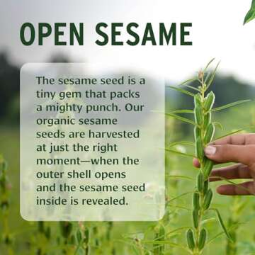 Banyan Botanicals Sesame Oil – Organic & Unrefined Ayurvedic Oil for Skin, Hair, Oil Pulling & Mor...