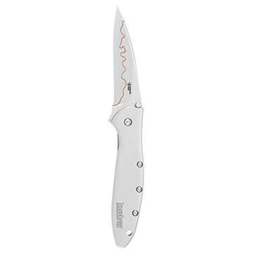 Kershaw Leek Composite Blade Folding Pocketknife, 3" D2 Steel and 14C28N Stainless Steel Blade, Assisted Opening Folding EDC