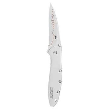 Kershaw Leek Composite Blade Folding Pocketknife, 3" D2 Steel and 14C28N Stainless Steel Blade, Assisted Opening Folding EDC