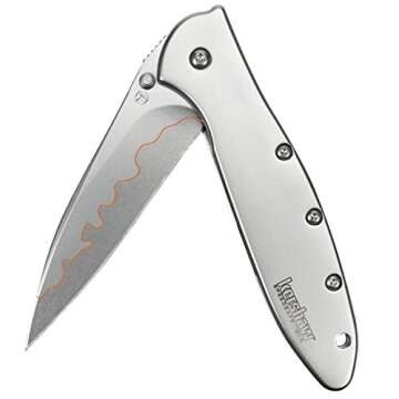 Kershaw Leek Composite Blade Folding Pocketknife, 3" D2 Steel and 14C28N Stainless Steel Blade, Assisted Opening Folding EDC