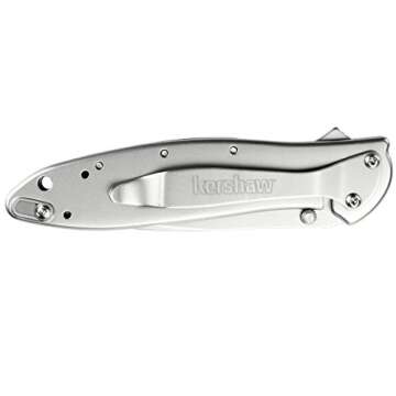 Kershaw Leek Composite Blade Folding Pocketknife, 3" D2 Steel and 14C28N Stainless Steel Blade, Assisted Opening Folding EDC