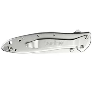 Kershaw Leek Composite Blade Folding Pocketknife, 3" D2 Steel and 14C28N Stainless Steel Blade, Assisted Opening Folding EDC