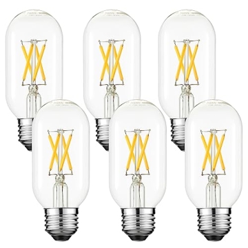 LiteHistory T45 Edison LED Bulbs - 6W Dimmable Warm White 3000K Light
