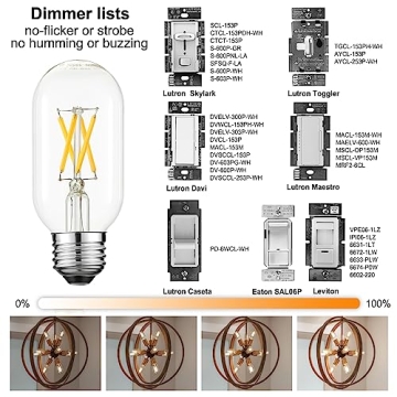LiteHistory E26 Edison LED Bulbs - Dimmable & Energy-Efficient
