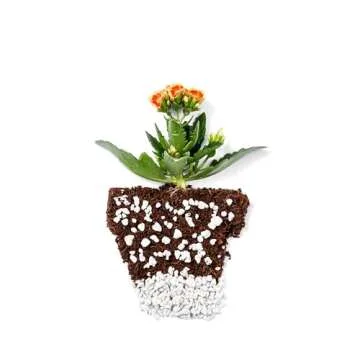 Perlite Bliss (8 Qts) - Organic Perlite for Plants - Coarse Perlite Bulk Soil Amendment - Chunky Perlite for Plants, Potting Soil, Garden Soil, & Coco Coir - Horticultural Perlite for Gardening