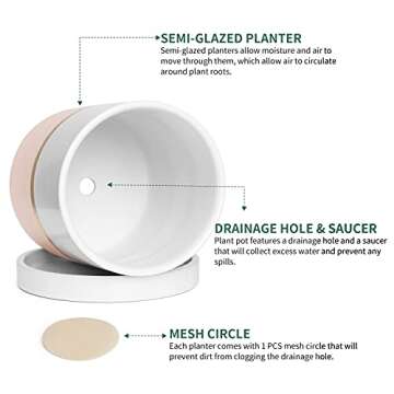 POTEY 052003 Planter Pots Indoor - 4.9 & 3.9 Inch Modern Home Decor Cylinder Ceramic Flowerpot Bonsai Container with Drainage Holes&Saucer for Plants Flower Succulent(Plants NOT Included)