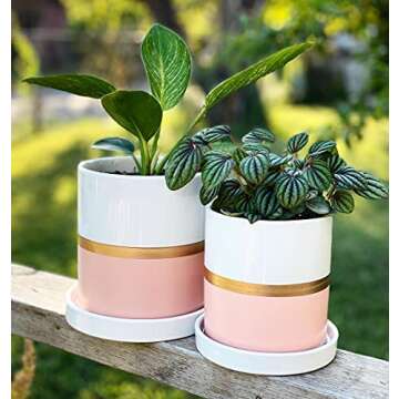 POTEY 052003 Planter Pots Indoor - 4.9 & 3.9 Inch Modern Home Decor Cylinder Ceramic Flowerpot Bonsai Container with Drainage Holes&Saucer for Plants Flower Succulent(Plants NOT Included)
