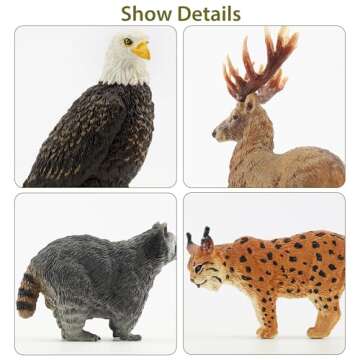 Toymany 12PCS North American Forest Animal Figurines, Realistic Jungle Animal Set Includes Raccoon,Lynx,Wolf,Bear,Eagle, Educational Toy Cake Toppers Christmas Birthday Gift for Kids Toddlers