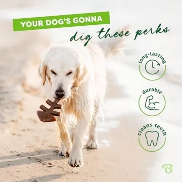 Durable Benebone Fishbone Toy for Aggressive Chewers