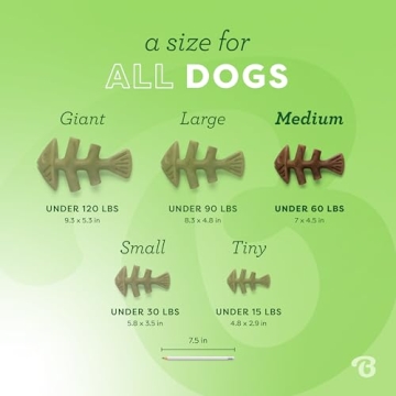 Durable Benebone Fishbone Toy for Aggressive Chewers