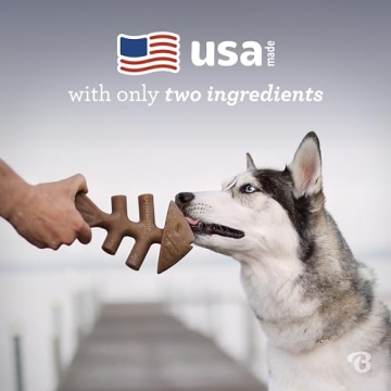 Durable Benebone Fishbone Toy for Aggressive Chewers