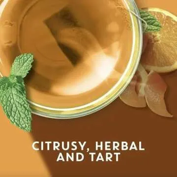 Tazo Wild Sweet Orange Herbal Tea - Refreshing and Caffeine-Free