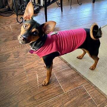 Gooby Fleece Vest Dog Sweater - Fuchsia, Large - Warm Pullover Fleece Dog Jacket with O-Ring Leash - Winter Small Dog Sweater Coat - Cold Weather Dog Clothes for Small Dogs Boy or Girl