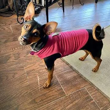 Gooby Fleece Vest Dog Sweater - Fuchsia, Large - Warm Pullover Fleece Dog Jacket with O-Ring Leash - Winter Small Dog Sweater Coat - Cold Weather Dog Clothes for Small Dogs Boy or Girl