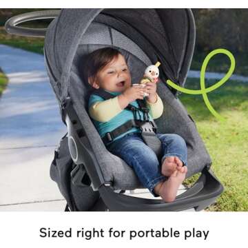 Fisher-Price Newborn Toy Clack & Quack Goose, Animal Themed Baby Rattle for Developmental Play Infants Ages 3+ Months