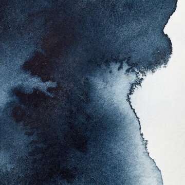 Winsor & Newton Professional Water Colour Paint, 0.17-oz Tube, Payne's Gray