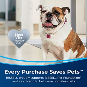 Portable Carpet & Upholstery Cleaner by Bissell