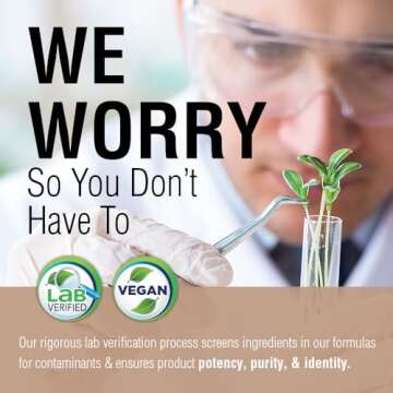 Solaray Fermented Reishi Mushroom 500mg | Healthy Immune, Heart & Brain Function Support | Energy & Mood Supplement | 60 VegCaps